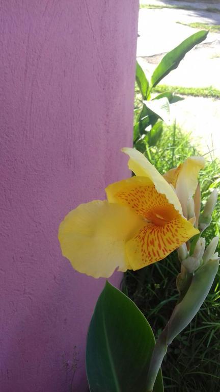 Pousada Rosa Cafe Paraty Ngoại thất bức ảnh